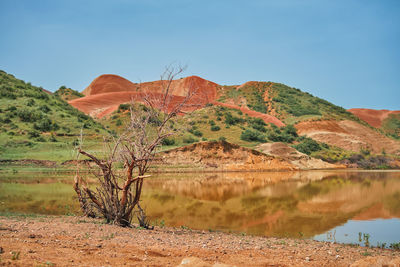 Selective focus on a dead tree against the backdrop of a lake in a valley among red hills