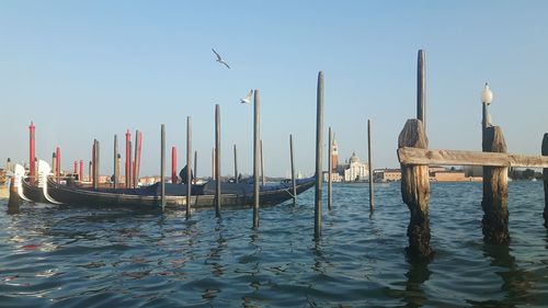 Gondolas moored by wooden posts in sea against clear sky