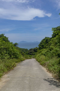 Road amidst trees against sky