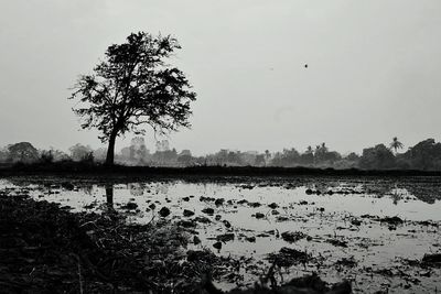 Scenic view of lake against clear sky