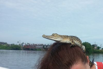 Close-up of crocodile hatchling on female zoo keeper head against sky