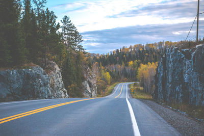 Empty country road along trees