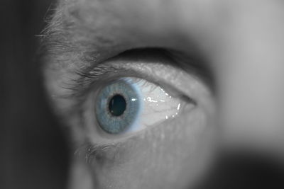 Extreme close up of human eye