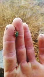 Close-up of cropped hand