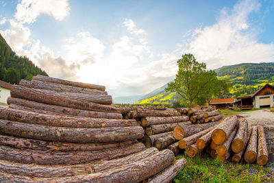 Stack of logs on landscape