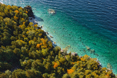 High angle view of plants by sea