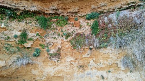 Full frame shot of textured wall