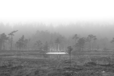 Scenic view of field in foggy weather