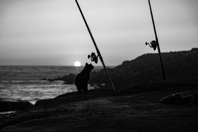 Man fishing in sea against sky and the cat.