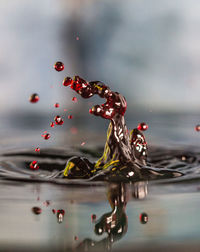 Close-up of water drop on red leaf