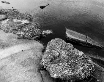 High angle view of rocks at shore