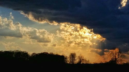Low angle view of silhouette trees against sky at sunset