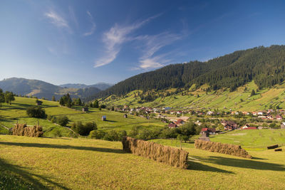 Scenic view of agricultural field against sky