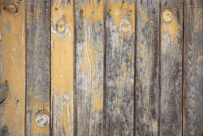 Old yellow wood background. the aroma of the past. 