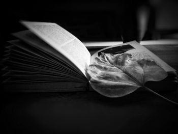 Close-up of open book on table