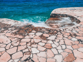 High angle view of starfish on beach