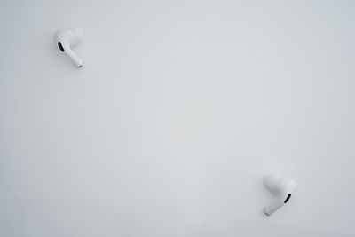 High angle view of toy on white background