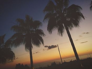 Silhouette palm trees on beach against sky at sunset