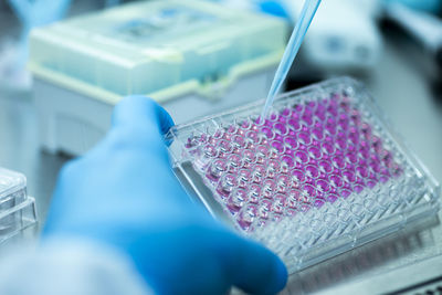 Cropped hand of scientist working in laboratory