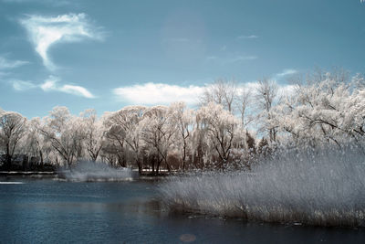 Infrared photography the summer palace, beijing, china