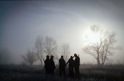 Dog standing on field