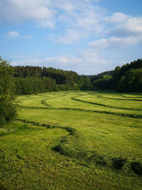 Sauerland landscape with fresh hay lines. 