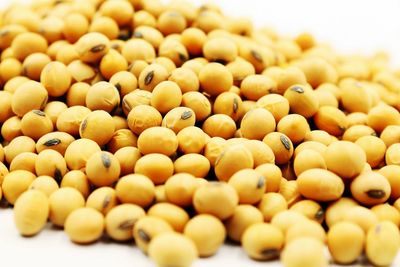 Macro soybean