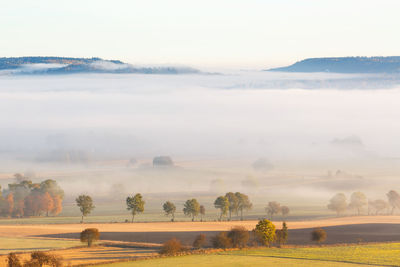 Morning fog over the fields in a rural landscape with autumn colors