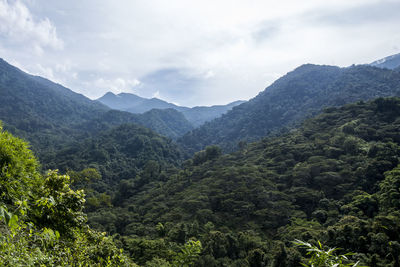 Scenic view over tropical rainforest and mountains against sky