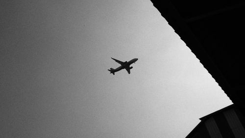 Low angle view of airplane flying in sky