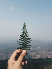 Cropped image of person holding plant against mountain