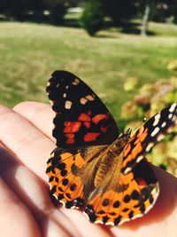 Close-up of butterfly on hand