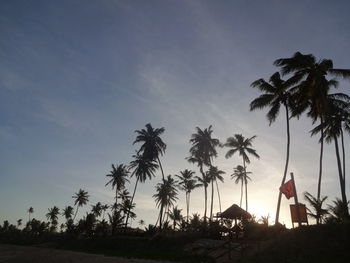 Low angle view of silhouette palm trees against sky