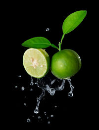 Close-up of fruits against black background