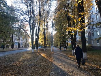 Rear view of person walking on footpath during autumn