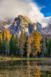 Scenic view of lake by trees against sky during autumn