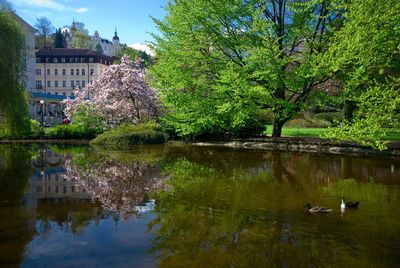 Reflection of trees and buildings in lake