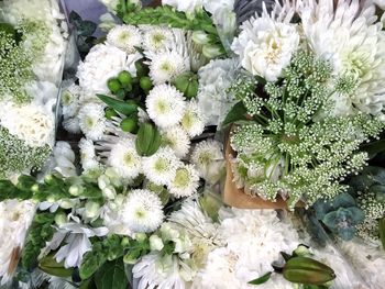 Close-up of white flowers blooming outdoors