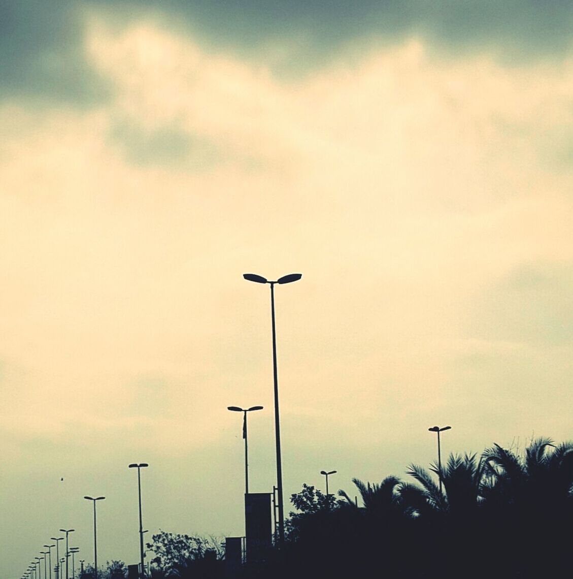 street light, low angle view, sky, lighting equipment, cloud - sky, silhouette, cloudy, cloud, pole, dusk, nature, outdoors, tree, lamp post, no people, overcast, tranquility, high section, floodlight, beauty in nature