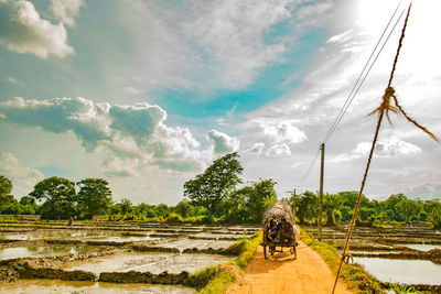 Man riding bicycle on agricultural field against sky