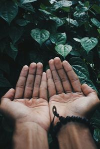 Cropped hands by leaves