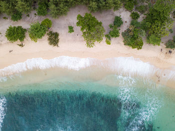 Aerial view of beach