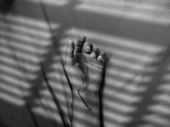 Close-up of human hand on leaf