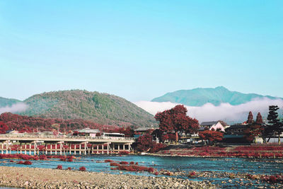 Scenic view of beach against clear blue sky