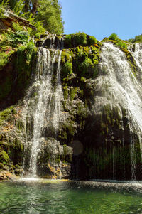 Scenic view of waterfall in forest