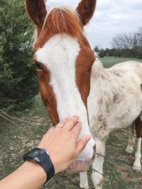 Cropped image of man holding hands