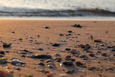 Close-up of pebbles on beach