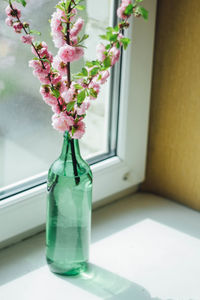 Close-up of flower vase on window sill