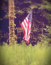 American flag against sky