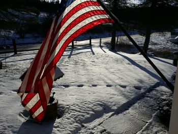 Close-up of red flower